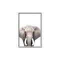 Picture of Safari Elephant _GroupedProduct_Rectangle_Portrait_Mini_ _GroupedProduct_Rectangle_Portrait_Canvas_Framed_