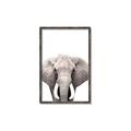 Picture of Safari Elephant _GroupedProduct_Rectangle_Portrait_Mini_ _GroupedProduct_Rectangle_Portrait_Canvas_Framed_
