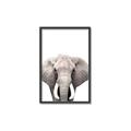 Picture of Safari Elephant _GroupedProduct_Rectangle_Portrait_Mini_ _GroupedProduct_Rectangle_Portrait_Canvas_Framed_