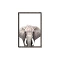 Picture of Safari Elephant _GroupedProduct_Rectangle_Portrait_Mini_ _GroupedProduct_Rectangle_Portrait_Canvas_Framed_