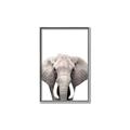 Picture of Safari Elephant _GroupedProduct_Rectangle_Portrait_Mini_ _GroupedProduct_Rectangle_Portrait_Canvas_Framed_