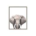 Picture of Safari Elephant _GroupedProduct_Rectangle_Portrait_Mini_ _GroupedProduct_Rectangle_Portrait_Canvas_Framed_