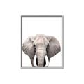 Picture of Safari Elephant _GroupedProduct_Rectangle_Portrait_Mini_ _GroupedProduct_Rectangle_Portrait_Canvas_Framed_