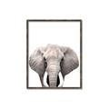 Picture of Safari Elephant _GroupedProduct_Rectangle_Portrait_Mini_ _GroupedProduct_Rectangle_Portrait_Canvas_Framed_