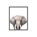Picture of Safari Elephant _GroupedProduct_Rectangle_Portrait_Mini_ _GroupedProduct_Rectangle_Portrait_Canvas_Framed_