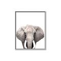Picture of Safari Elephant _GroupedProduct_Rectangle_Portrait_Mini_ _GroupedProduct_Rectangle_Portrait_Canvas_Framed_