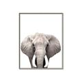 Picture of Safari Elephant _GroupedProduct_Rectangle_Portrait_Mini_ _GroupedProduct_Rectangle_Portrait_Canvas_Framed_