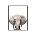 Picture of Safari Elephant _GroupedProduct_Rectangle_Portrait_Mini_ _GroupedProduct_Rectangle_Portrait_Canvas_Framed_