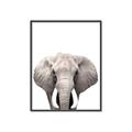 Picture of Safari Elephant _GroupedProduct_Rectangle_Portrait_Mini_ _GroupedProduct_Rectangle_Portrait_Canvas_Framed_