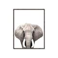 Picture of Safari Elephant _GroupedProduct_Rectangle_Portrait_Mini_ _GroupedProduct_Rectangle_Portrait_Canvas_Framed_