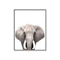 Picture of Safari Elephant _GroupedProduct_Rectangle_Portrait_Mini_ _GroupedProduct_Rectangle_Portrait_Canvas_Framed_