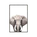 Picture of Safari Elephant _GroupedProduct_Rectangle_Portrait_Mini_ _GroupedProduct_Rectangle_Portrait_Canvas_Framed_