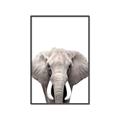 Picture of Safari Elephant _GroupedProduct_Rectangle_Portrait_Mini_ _GroupedProduct_Rectangle_Portrait_Canvas_Framed_