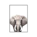 Picture of Safari Elephant _GroupedProduct_Rectangle_Portrait_Mini_ _GroupedProduct_Rectangle_Portrait_Canvas_Framed_