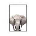 Picture of Safari Elephant _GroupedProduct_Rectangle_Portrait_Mini_ _GroupedProduct_Rectangle_Portrait_Canvas_Framed_