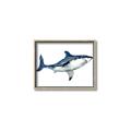 Picture of Shark Attack I   _GroupedProduct_Rectangle_Landscape_Mini_ _GroupedProduct_Rectangle_Landscape_Canvas_Framed_