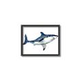 Picture of Shark Attack I   _GroupedProduct_Rectangle_Landscape_Mini_ _GroupedProduct_Rectangle_Landscape_Canvas_Framed_