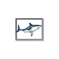 Picture of Shark Attack I   _GroupedProduct_Rectangle_Landscape_Mini_ _GroupedProduct_Rectangle_Landscape_Canvas_Framed_