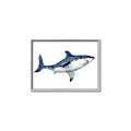 Picture of Shark Attack I   _GroupedProduct_Rectangle_Landscape_Mini_ _GroupedProduct_Rectangle_Landscape_Canvas_Framed_