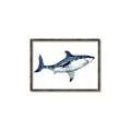 Picture of Shark Attack I   _GroupedProduct_Rectangle_Landscape_Mini_ _GroupedProduct_Rectangle_Landscape_Canvas_Framed_
