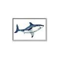 Picture of Shark Attack I   _GroupedProduct_Rectangle_Landscape_Mini_ _GroupedProduct_Rectangle_Landscape_Canvas_Framed_