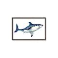 Picture of Shark Attack I   _GroupedProduct_Rectangle_Landscape_Mini_ _GroupedProduct_Rectangle_Landscape_Canvas_Framed_