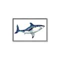 Picture of Shark Attack I   _GroupedProduct_Rectangle_Landscape_Mini_ _GroupedProduct_Rectangle_Landscape_Canvas_Framed_