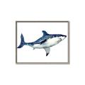 Picture of Shark Attack I   _GroupedProduct_Rectangle_Landscape_Mini_ _GroupedProduct_Rectangle_Landscape_Canvas_Framed_