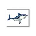 Picture of Shark Attack I   _GroupedProduct_Rectangle_Landscape_Mini_ _GroupedProduct_Rectangle_Landscape_Canvas_Framed_