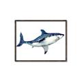 Picture of Shark Attack I   _GroupedProduct_Rectangle_Landscape_Mini_ _GroupedProduct_Rectangle_Landscape_Canvas_Framed_