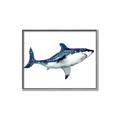 Picture of Shark Attack I   _GroupedProduct_Rectangle_Landscape_Mini_ _GroupedProduct_Rectangle_Landscape_Canvas_Framed_