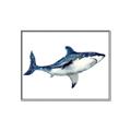 Picture of Shark Attack I   _GroupedProduct_Rectangle_Landscape_Mini_ _GroupedProduct_Rectangle_Landscape_Canvas_Framed_