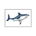 Picture of Shark Attack I   _GroupedProduct_Rectangle_Landscape_Mini_ _GroupedProduct_Rectangle_Landscape_Canvas_Framed_