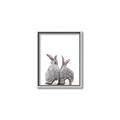 Picture of Bunny Tail  _GroupedProduct_Rectangle_Portrait_Mini_ _GroupedProduct_Rectangle_Portrait_Canvas_Framed_