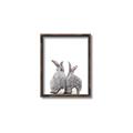 Picture of Bunny Tail  _GroupedProduct_Rectangle_Portrait_Mini_ _GroupedProduct_Rectangle_Portrait_Canvas_Framed_