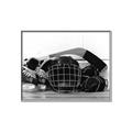 Picture of Hockey Accessories _GroupedProduct_Rectangle_Landscape_Mini_ _GroupedProduct_Rectangle_Landscape_Canvas_Framed_