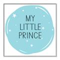 Picture of Prince Bear II  _GroupedProduct_Square_Mini_ _GroupedProduct_Square_Canvas_Framed_