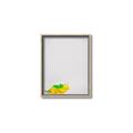 Picture of Toy Triceratops _GroupedProduct_Rectangle_Portrait_Mini_ _GroupedProduct_Rectangle_Portrait_Canvas_Framed_