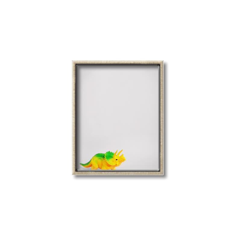 Picture of Toy Triceratops _GroupedProduct_Rectangle_Portrait_Mini_ _GroupedProduct_Rectangle_Portrait_Canvas_Framed_