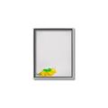 Picture of Toy Triceratops _GroupedProduct_Rectangle_Portrait_Mini_ _GroupedProduct_Rectangle_Portrait_Canvas_Framed_