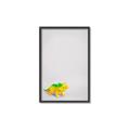 Picture of Toy Triceratops _GroupedProduct_Rectangle_Portrait_Mini_ _GroupedProduct_Rectangle_Portrait_Canvas_Framed_