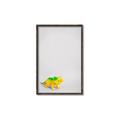 Picture of Toy Triceratops _GroupedProduct_Rectangle_Portrait_Mini_ _GroupedProduct_Rectangle_Portrait_Canvas_Framed_