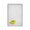 Picture of Toy Triceratops _GroupedProduct_Rectangle_Portrait_Mini_ _GroupedProduct_Rectangle_Portrait_Canvas_Framed_