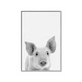 Picture of Farmhouse Pig _GroupedProduct_Rectangle_Portrait_Mini_ _GroupedProduct_Rectangle_Portrait_Canvas_Framed_