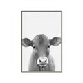 Picture of Cute Little Calf _GroupedProduct_Rectangle_Portrait_Mini_ _GroupedProduct_Rectangle_Portrait_Canvas_Framed_