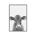 Picture of Cute Little Calf _GroupedProduct_Rectangle_Portrait_Mini_ _GroupedProduct_Rectangle_Portrait_Canvas_Framed_