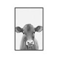 Picture of Cute Little Calf _GroupedProduct_Rectangle_Portrait_Mini_ _GroupedProduct_Rectangle_Portrait_Canvas_Framed_