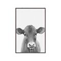 Picture of Cute Little Calf _GroupedProduct_Rectangle_Portrait_Mini_ _GroupedProduct_Rectangle_Portrait_Canvas_Framed_