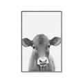 Picture of Cute Little Calf _GroupedProduct_Rectangle_Portrait_Mini_ _GroupedProduct_Rectangle_Portrait_Canvas_Framed_