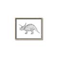 Picture of Baby Dino II _GroupedProduct_Rectangle_Landscape_Mini_ _GroupedProduct_Rectangle_Landscape_Canvas_Framed_